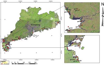 Application of Microalgae Assemblages’ Parameters for Ecological Monitoring in Mangrove Forest